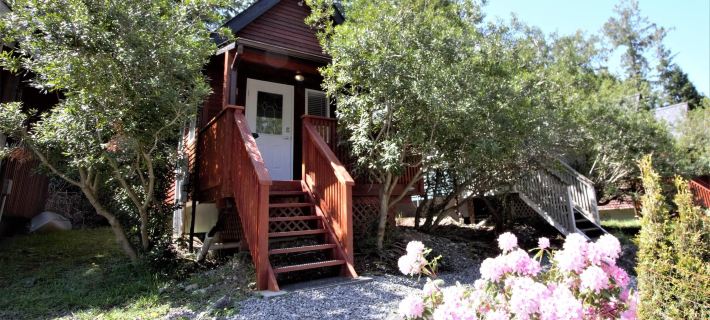 Cozy Cabin Near Walking Trails and Beaches! Hotels in Ucluelet