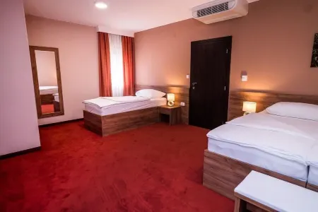 B&B Villa Angy Отели в г. Рудановац