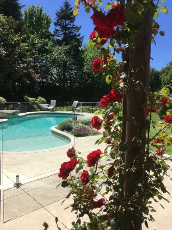 Bluebell Lodge and Cottage