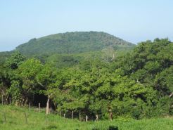 La Mayur Cottage
