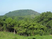 La Mayur Cottage Hotels in Utila