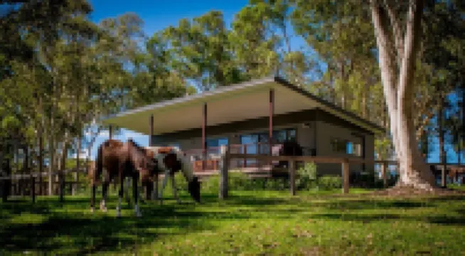 Glenworth Valley Wilderness Adventures