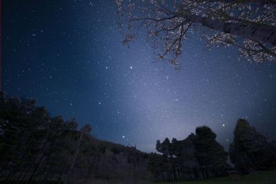 ホテル周辺 芦別温泉スターライトホテルの写真