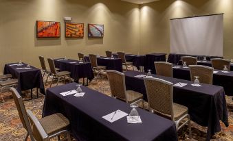 Hilton Garden Inn St. Louis Airport
