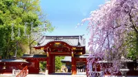 Shomarutoge Garden House Hotel di Ogose