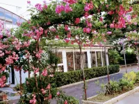Villa Pina Senigallia a 1 min dal mare con giardino e parcheggio Hotel a Senigallia
