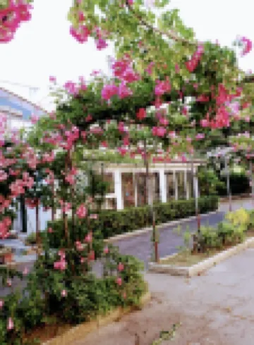 Hotel Villa Pina