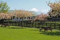 Kerry Lane Motel Hotels near Puketarata Garden
