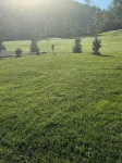 Log Cabin in the Field Hotels in Huntington