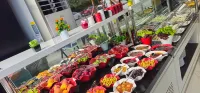 Skyblue Istanbul Hotel Hotels in Şekerpınar