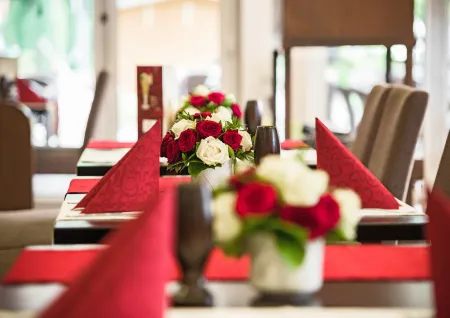 Hotel Hilling Отели в г. Папенбург