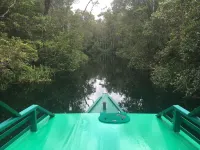 Houseboat Bee Kelotok Hotel di Kabupaten Kotawaringin Barat