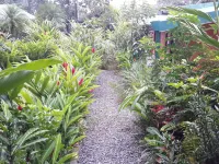 San Rafael Ecolodge - Villa
