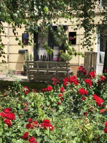 Design Studios Svi-MI