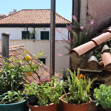 Malena Palace Experience