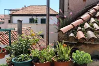 Malena Palace Experience