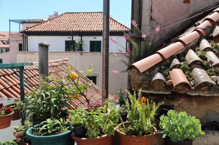 Malena Palace Experience