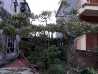 Tamcoc White Swan Hostel Hotel di 
