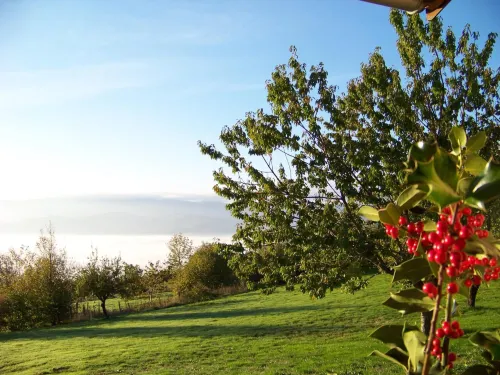 Croix Blanche - Bed and Breakfasts