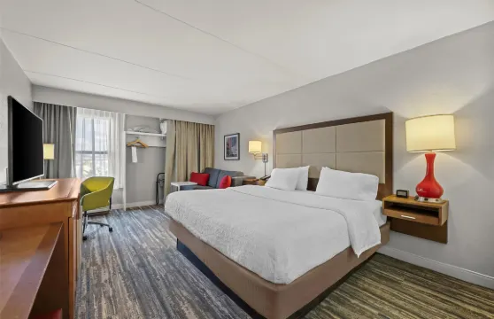 希爾頓歡朋酒店-託萊多南莫米