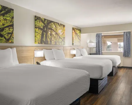 Days Inn & Suites by Wyndham Byram Hotels in Byram