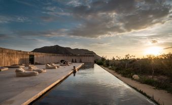 Paradero Todos Santos - Exclusive Experiences Included