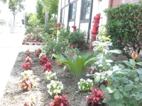 Executive Suites Inn Hotels near Little Saigon