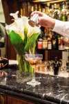 布里斯託宮殿酒店 - 酒吧