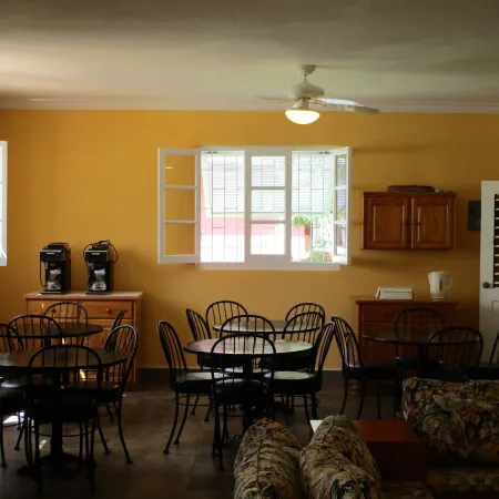 Harlem B & B