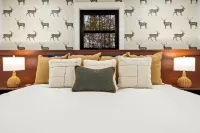 SummerFun! New Pool, JungleGym, Dome, HotTub&Sauna, Sleeps16+