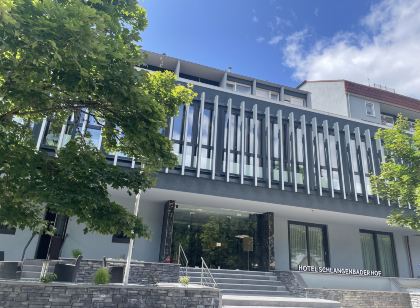 Hotel Schlangenbader Hof