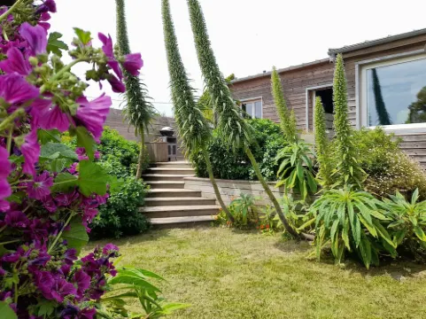 "Chez Marinette" in Morgat House & Garden, Walking Distance from the Beach Crozon Peninsula