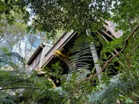 Sassafras Treehouse in The Dandenong Ranges, Victoria
