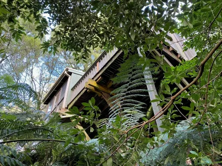 Sassafras Treehouse in The Dandenong Ranges, Victoria
