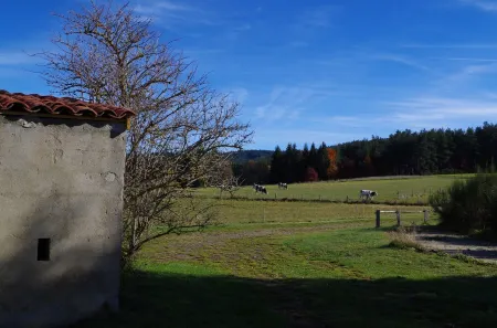 Country Cottage / Gite - Usso, en Forez