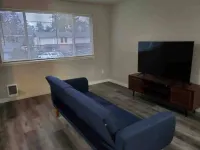 Cozy in Lacey, 2B/1B