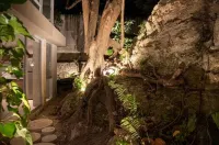 Caseiba Peaceful Stays 5