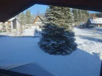 Holidays on Lake Titisee - Welcome to the apartment 'Erle' Các khách sạn ở Titisee