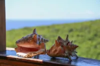 Bungalow 5 Pers. Vue mer et Montagne, Cuisine Équipée. Réservez Votre Paradis!