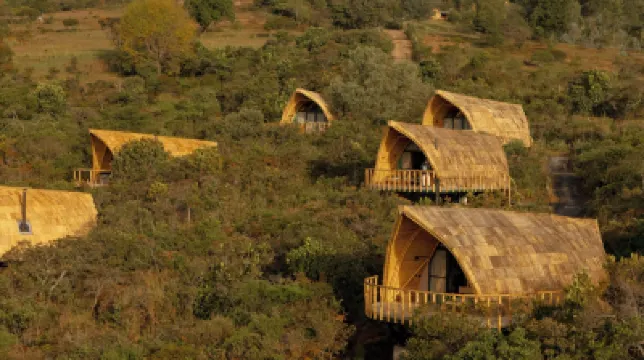 Casa Selvaggio Hotels in 