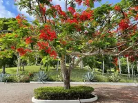 Elegant & Spacious Villa with Breathtaking Ocean Views