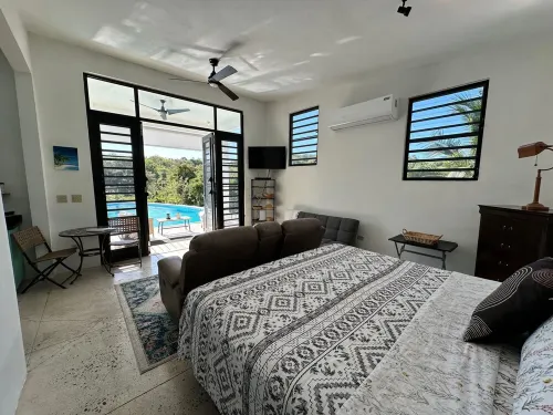 Dragonfly Hill Private Caribbean Escape w/private pool near Buye and Boqueron