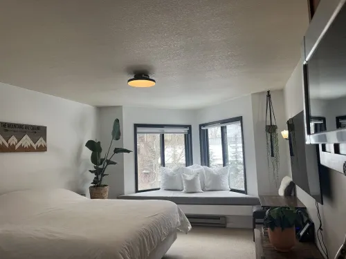 Telluride Viking Condo with River and Mountain Views!