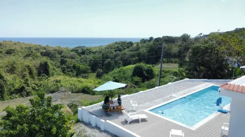 Dual Villas: Private One-Story Home in Yabucoa Puerto Rico with new pool,AC&wifi - Homestays