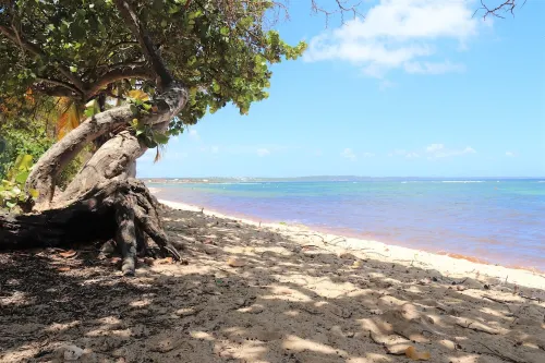 Charming T1bis facing the sea Hotels in Le Moule