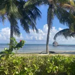 Beautiful 5 bedroom beachfront villa with private pool just 2.5 miles from town - Villas