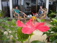 Costa Rica Paradise Right on the Beach!!! with FAST FIBER OPTIC WIFI included