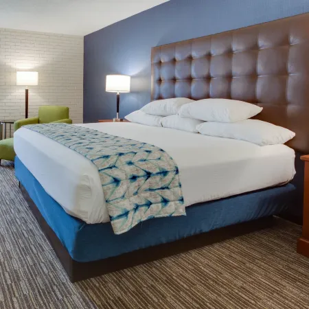 Drury Inn & Suites Nashville Airport Отели в г. Нэшвилль
