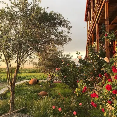 Elizbar Talakvadze winery - Alojamientos