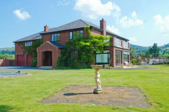 Tall Trees Hotels in Ysceifiog